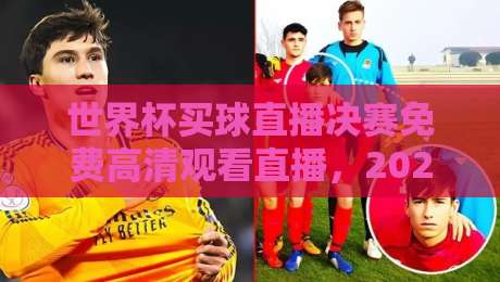 世界杯买球直播决赛免费高清观看直播，2026年球迷必看指南