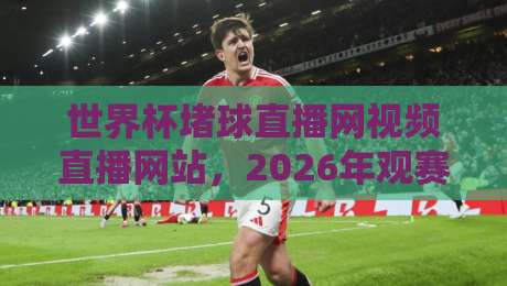 世界杯堵球直播网视频直播网站,2026年观赛指南:如何选靠谱平台? 世界杯堵球直播网视频直播网站,2026年观赛指南:如何选靠谱平台?