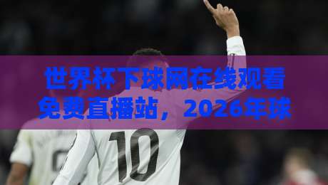 世界杯下球网在线观看免费直播站,2026年球迷必看的观赛指南! 世界杯下球网在线观看免费直播站,2026年球迷必看的观赛指南!