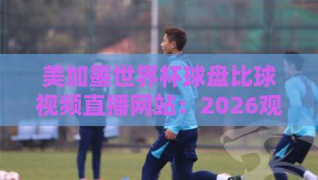美加墨世界杯球盘比球视频直播网站:2026观赛与盘口分析终极指南 美加墨世界杯球盘比球视频直播网站:2026观赛与盘口分析终极指南