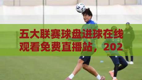 五大联赛球盘进球在线观看免费直播站,2026年老球迷的新发现! 五大联赛球盘进球在线观看免费直播站,2026年老球迷的新发现!