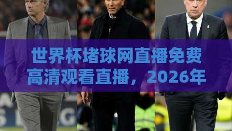 世界杯堵球网直播免费高清观看直播,2026年球迷必备指南! 世界杯堵球网直播免费高清观看直播,2026年球迷必备指南!