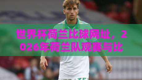 世界杯荷兰比球网址，2026年荷兰队观赛与比分追踪指南