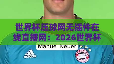 世界杯压球网无插件在线直播网:2026世界杯观赛新选择,告别卡顿与插件烦恼