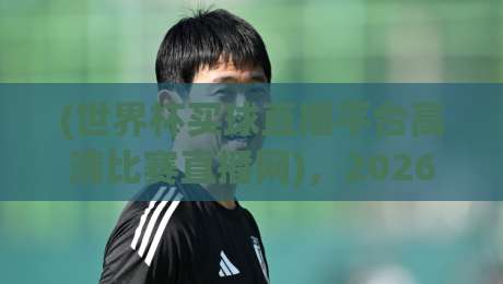 (世界杯买球直播平台高清比赛直播网),2026年观赛必备的高清渠道全解析