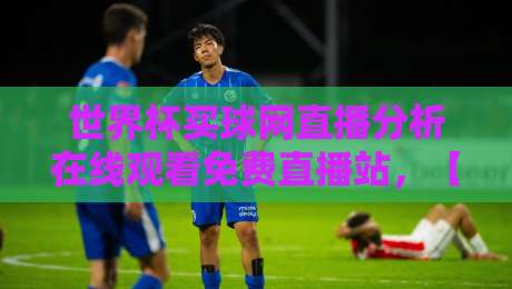 世界杯买球网直播分析在线观看免费直播站,【2026世界杯】球迷必看的高清免费直播攻略
