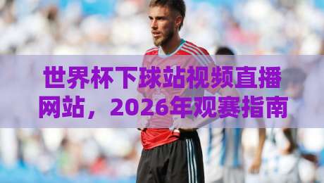 世界杯下球站视频直播网站,2026年观赛指南:避开套路,找到真直播
