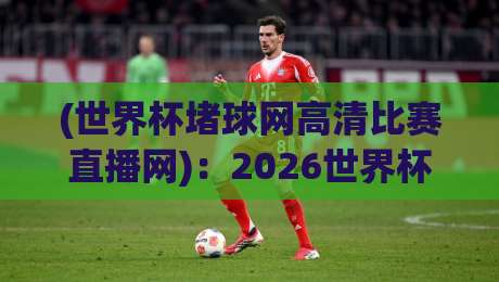(世界杯堵球网高清比赛直播网):2026世界杯观赛指南与平台推荐
