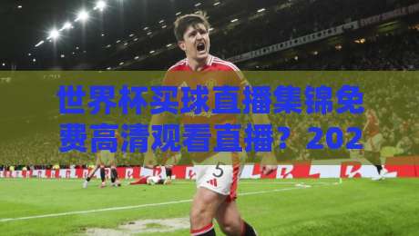 世界杯买球直播集锦免费高清观看直播?2026年最全免费观看指南!