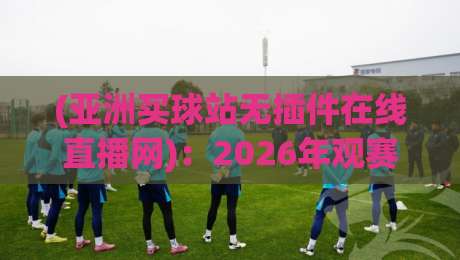 (亚洲买球站无插件在线直播网):2026年观赛新选择?告别卡顿与插件烦恼