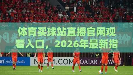体育买球站直播官网观看入口,2026年最新指南与避坑建议