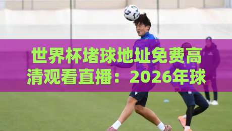 世界杯堵球地址免费高清观看直播:2026年球迷必备的五大安全观赛指南