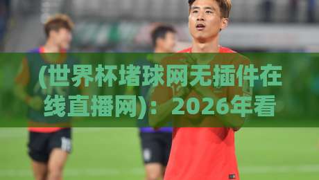 (世界杯堵球网无插件在线直播网):2026年看球新选择,零插件畅享高清直播!