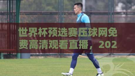 世界杯预选赛压球网免费高清观看直播,2026年球迷必看指南!