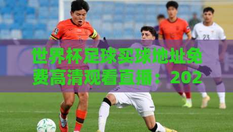 世界杯足球买球地址免费高清观看直播:2026年观赛避坑指南与实用技巧