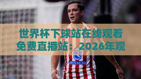 世界杯下球站在线观看免费直播站：2026年观赛新体验（世界杯下球站）免费高清攻略