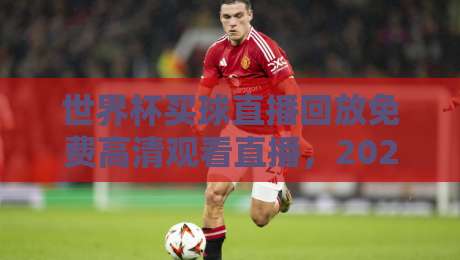 世界杯买球直播回放免费高清观看直播，2026年球迷必读攻略