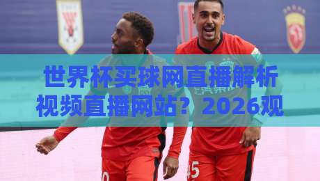 世界杯买球网直播解析视频直播网站?2026观赛新玩法大揭秘