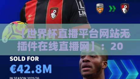 【世界杯直播平台网站无插件在线直播网】：2026年最新观赛指南，告别卡顿与延迟