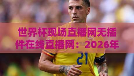 世界杯现场直播网无插件在线直播网：2026年看球新姿势，告别卡顿与插件烦恼