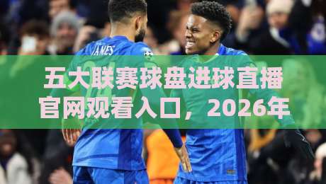 五大联赛球盘进球直播官网观看入口,2026年这些平台值得一试(五大联赛球盘) 五大联赛球盘进球直播官网观看入口,2026年这些平台值得一试(五大联赛球盘)