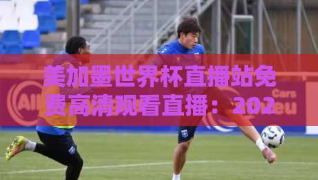 美加墨世界杯直播站免费高清观看直播：2026年球迷必知的五大观赛渠道