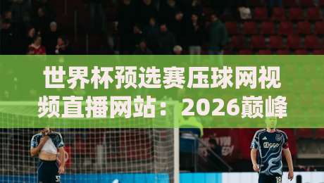 世界杯预选赛压球网视频直播网站：2026巅峰对决，这里才是硬核观赛入口
