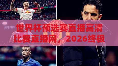 世界杯预选赛直播高清比赛直播网，2026终极观赛攻略！