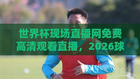 世界杯现场直播网免费高清观看直播，2026球迷必备的观赛指南来了！