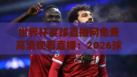 世界杯买球直播网免费高清观看直播：2026球迷的观赛新姿势，你get了吗？