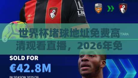 世界杯堵球地址免费高清观看直播，2026年免费高清观看渠道全测评！避开套路，看这篇就够了？附安全指南与实测体验