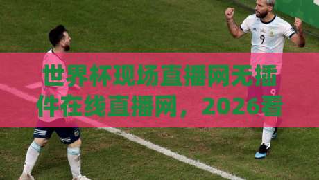 世界杯现场直播网无插件在线直播网，2026看球不折腾！(关键词)