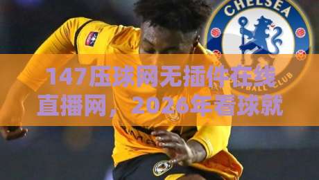 147压球网无插件在线直播网，2026年看球就该这么简单！