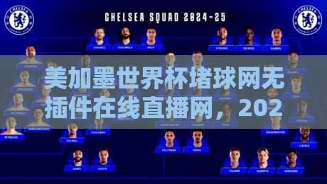 美加墨世界杯堵球网无插件在线直播网,2026球迷必备的观赛神器? 美加墨世界杯堵球网无插件在线直播网,2026球迷必备的观赛神器?