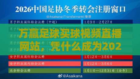 万赢足球买球视频直播网站，凭什么成为2026球迷新宠？
