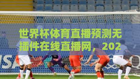 世界杯体育直播预测无插件在线直播网，2026观赛指南！