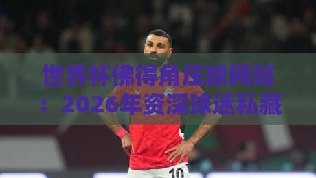 世界杯佛得角压球网站：2026年资深球迷私藏指南与实战避坑