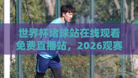 世界杯堵球站在线观看免费直播站,2026观赛指南与避坑手册 世界杯堵球站在线观看免费直播站,2026观赛指南与避坑手册