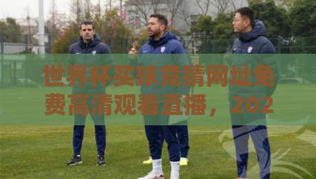 世界杯买球竞猜网址免费高清观看直播，2026年球迷该怎么选才不踩坑？