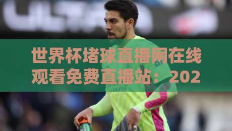 世界杯堵球直播网在线观看免费直播站：2026年观赛避坑指南与靠谱渠道盘点