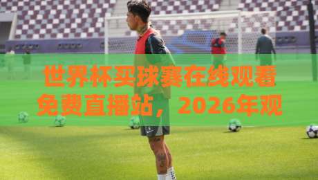 世界杯买球赛在线观看免费直播站，2026年观赛避坑指南：别让