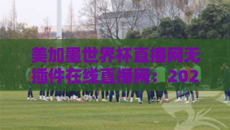 美加墨世界杯直播网无插件在线直播网:2026观赛避坑指南,老球迷都这么看 美加墨世界杯直播网无插件在线直播网:2026观赛避坑指南,老球迷都这么看