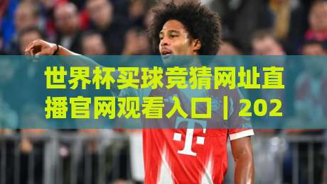 世界杯买球竞猜网址直播官网观看入口｜2026观赛避坑指南：从找入口到看懂实时数据