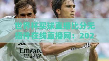 世界杯买球直播比分无插件在线直播网：2026年观赛新姿势，真能告别卡顿和弹窗吗？
