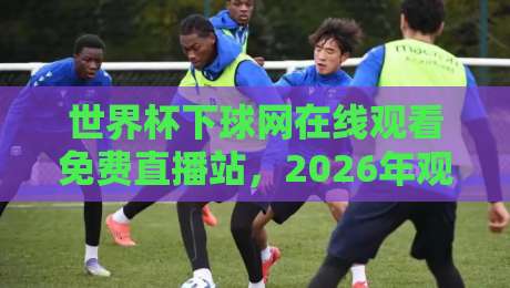 世界杯下球网在线观看免费直播站,2026年观赛避坑指南与真实体验分享 世界杯下球网在线观看免费直播站,2026年观赛避坑指南与真实体验分享