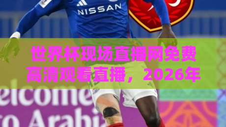 世界杯现场直播网免费高清观看直播，2026年观赛避坑指南：老球迷亲测这5个渠道最稳
