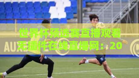 世界杯预选赛直播观看无插件在线直播网：2026年观赛避坑指南与真实体验