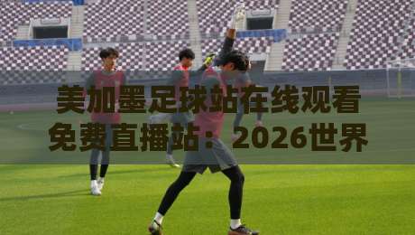 美加墨足球站在线观看免费直播站:2026世界杯观赛避坑指南与真实体验 美加墨足球站在线观看免费直播站:2026世界杯观赛避坑指南与真实体验
