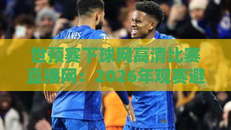 世预赛下球网高清比赛直播网：2026年观赛避坑指南，老球迷都这么看