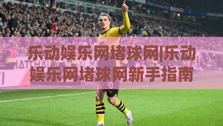 乐动娱乐网堵球网|乐动娱乐网堵球网新手指南【乐动娱乐网堵球网】从零开始轻松上手-今晚靠谱最火体球网蓝光低水无需注册观看解说让球盘